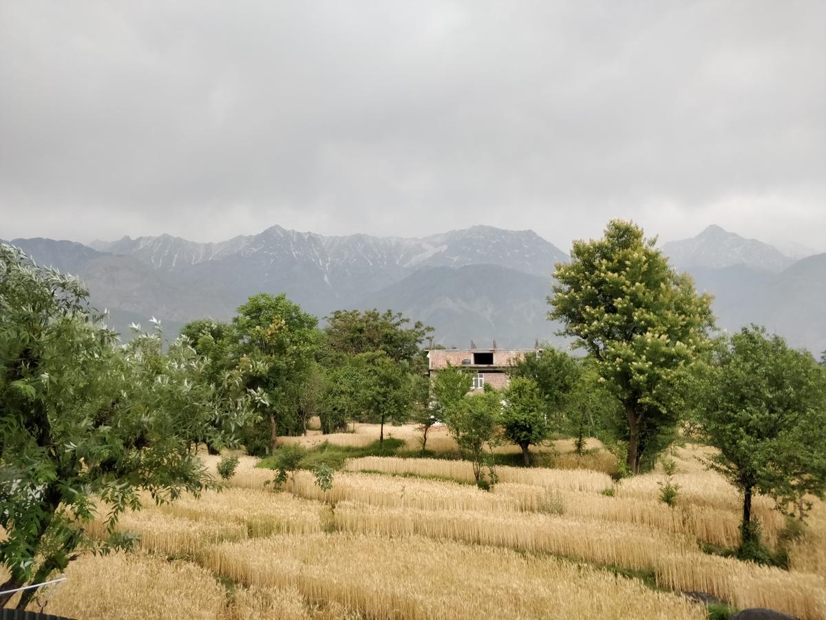 D'Polo Club & Spa Resort Dharamshala Buitenkant foto