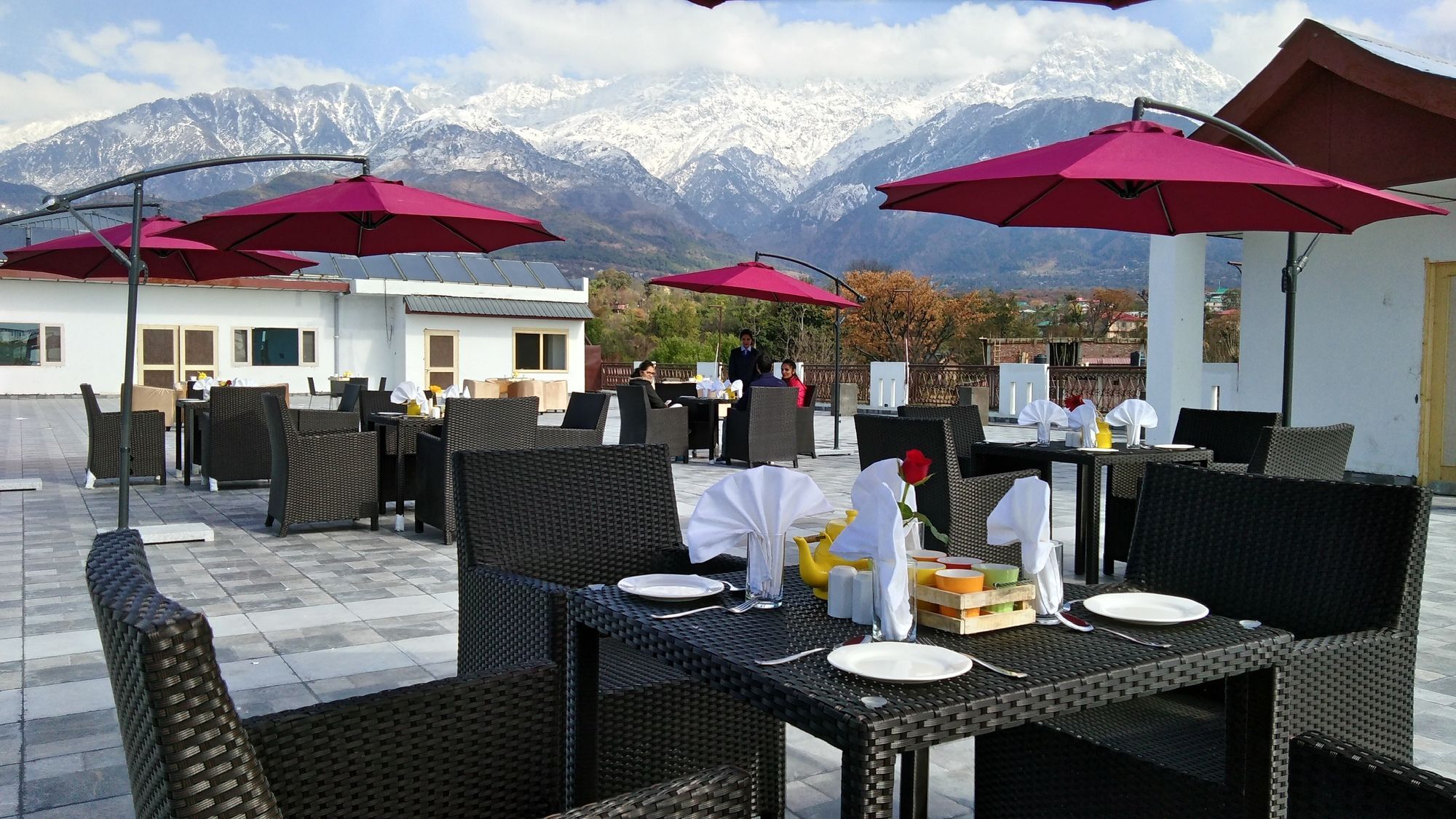 D'Polo Club & Spa Resort Dharamshala Buitenkant foto