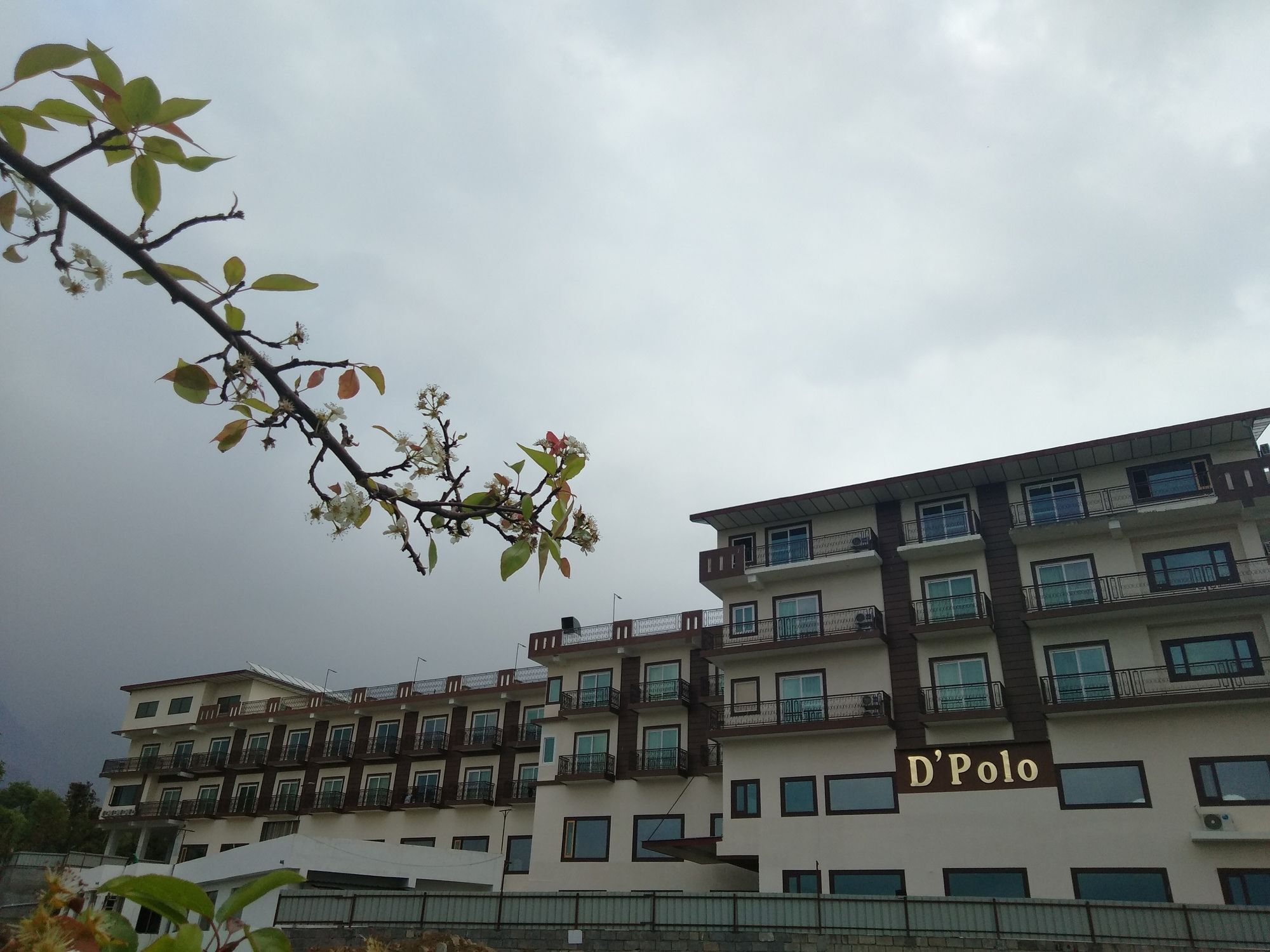 D'Polo Club & Spa Resort Dharamshala Buitenkant foto